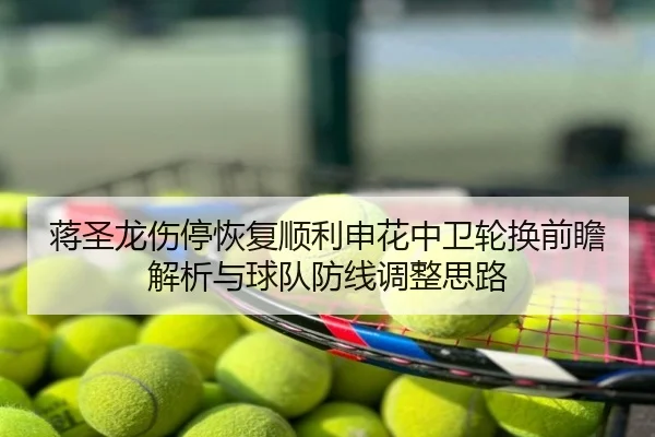 蒋圣龙伤停恢复顺利申花中卫轮换前瞻解析与球队防线调整思路